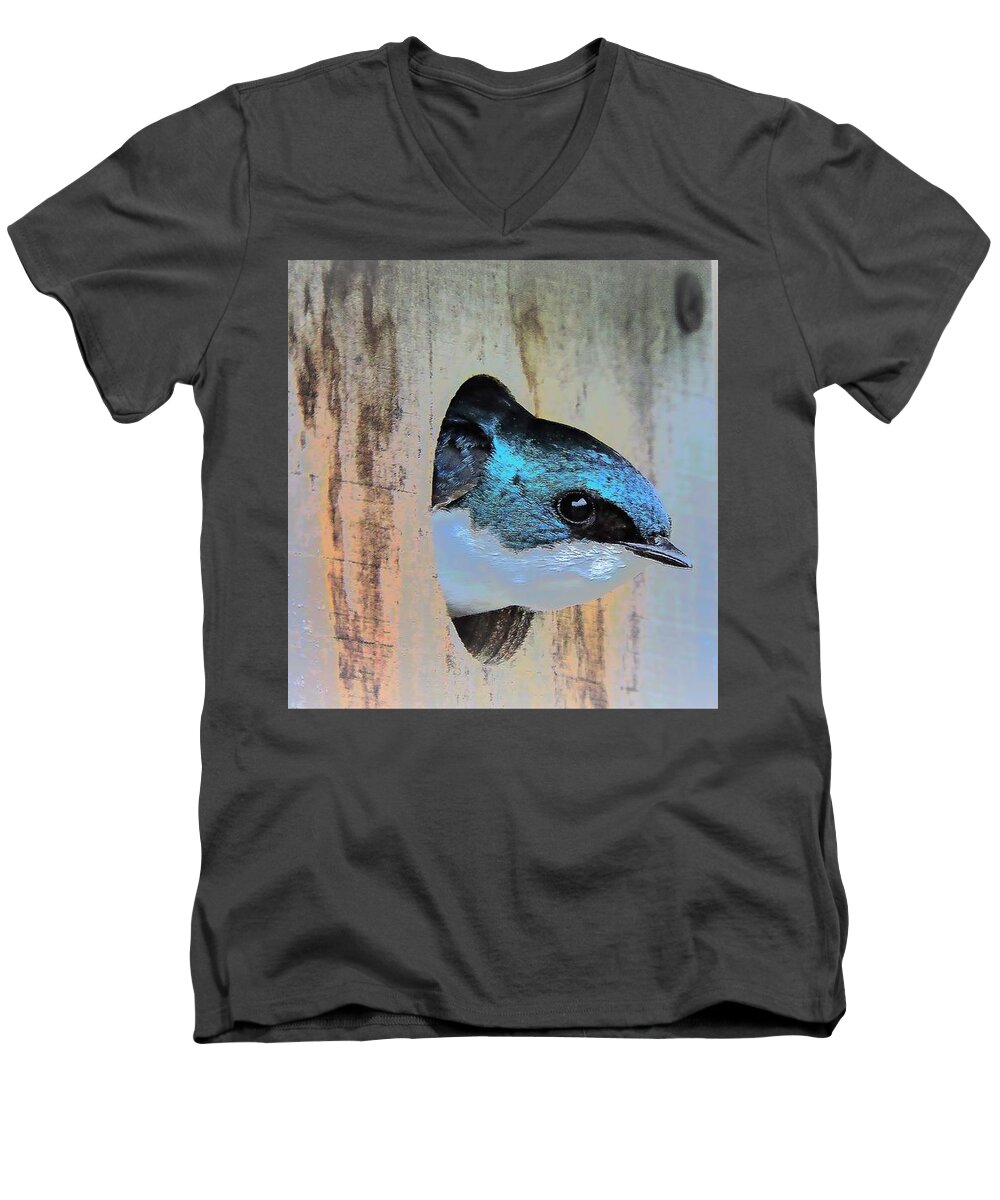 Tree Swallow Men's V-Neck T-Shirt featuring the photograph Peek-A-Blue by Tami Quigley