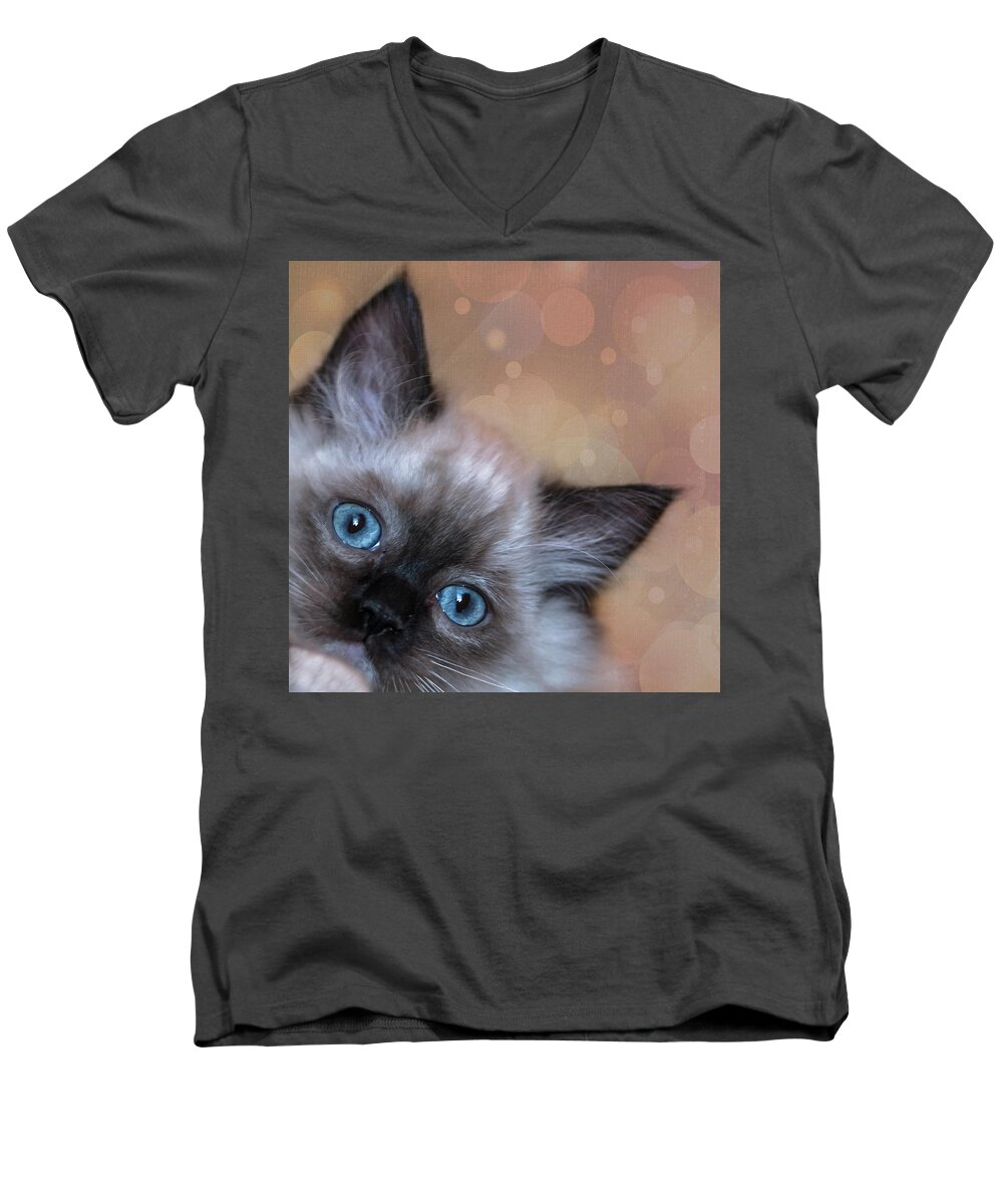 Cat Men's V-Neck T-Shirt featuring the photograph Peek-A-Boo 2 by Jennifer Grossnickle