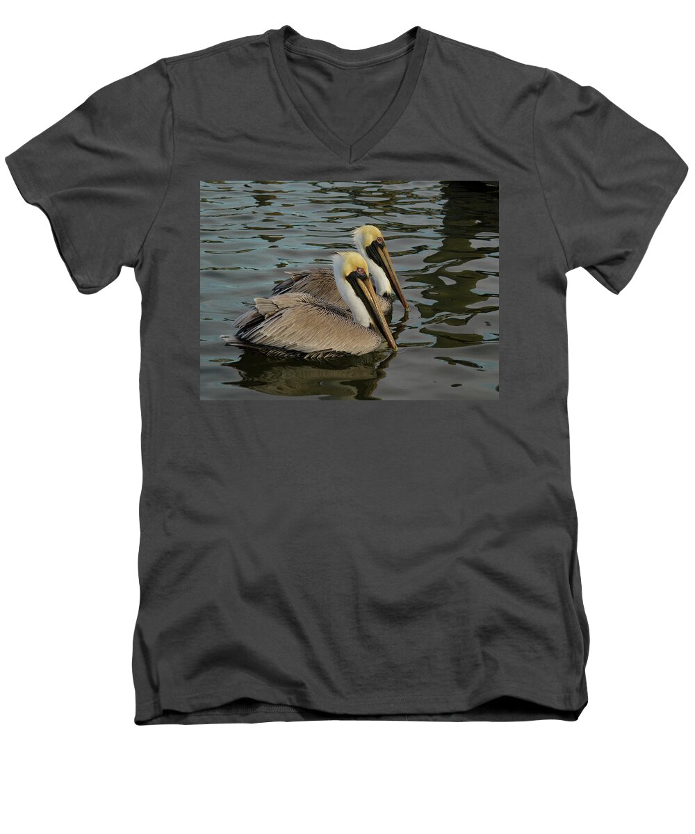 Jean Noren Men's V-Neck T-Shirt featuring the photograph Pelican Duo by Jean Noren