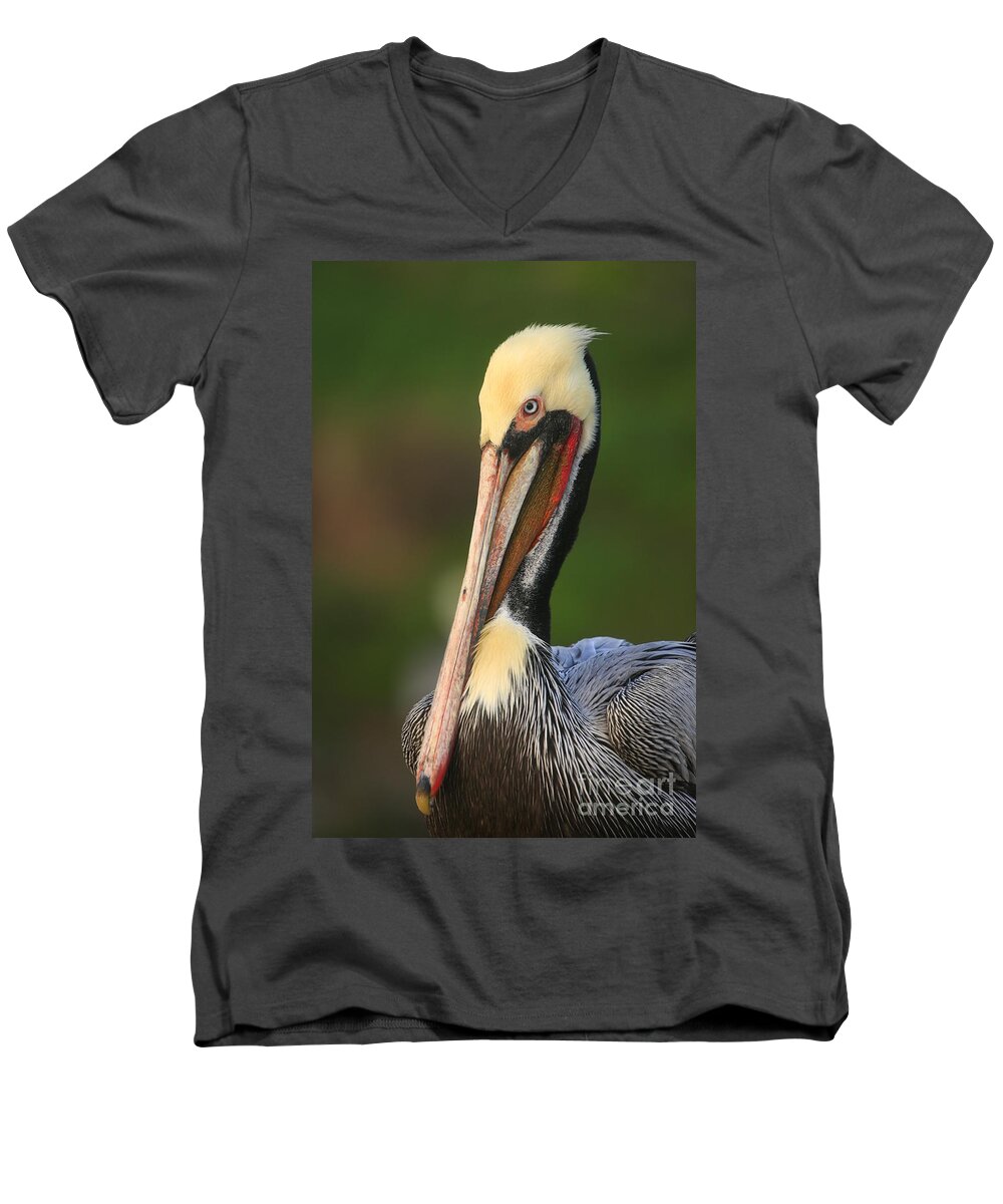 Birds Men's V-Neck T-Shirt featuring the photograph Pelican In Green by John F Tsumas