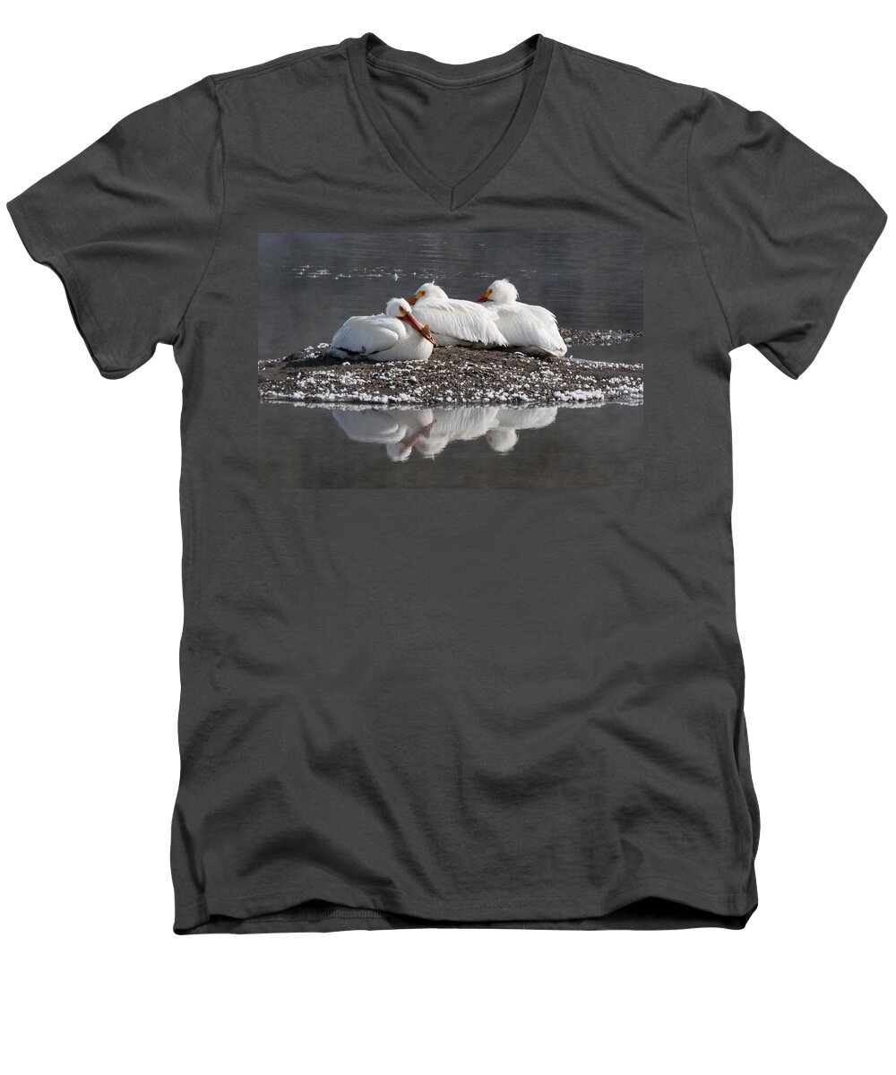 Pelicans Men's V-Neck T-Shirt featuring the photograph Pelicans by Gary Beeler
