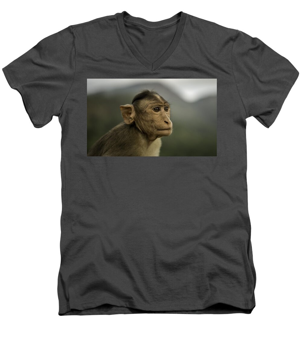 Wildlife Men's V-Neck T-Shirt featuring the photograph Penny for your thoughts by Chris Cousins