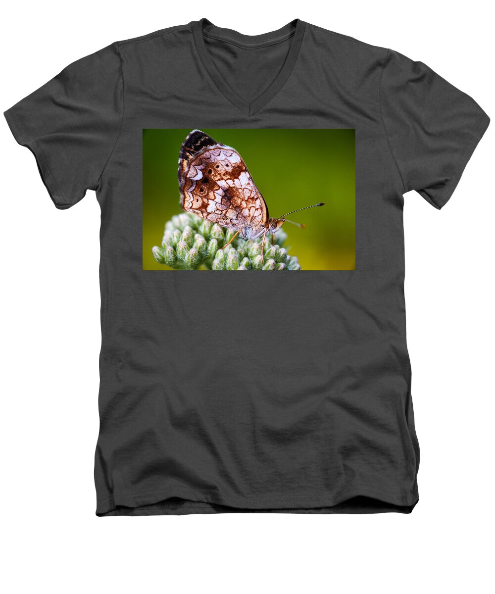 Insect Men's V-Neck T-Shirt featuring the photograph Phaon Crescent by Jeff Phillippi