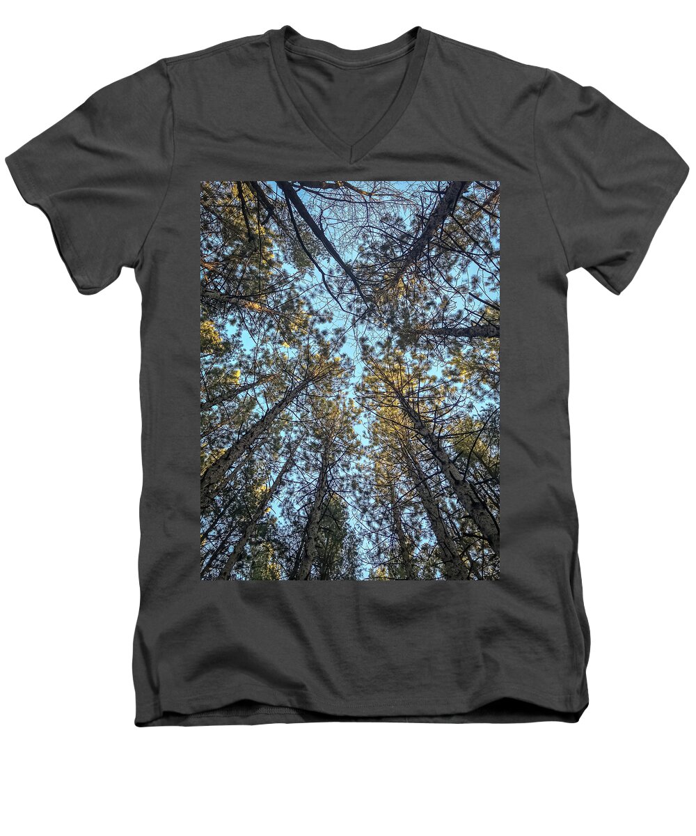 Pine Men's V-Neck T-Shirt featuring the photograph Pine trees by SAURAVphoto Online Store