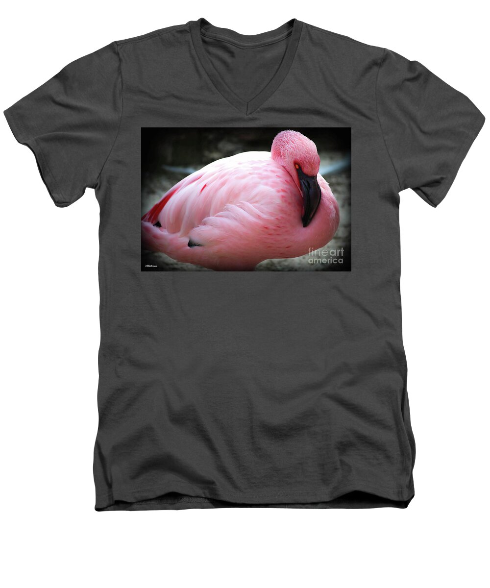 Pink Men's V-Neck T-Shirt featuring the photograph Pink at the Memphis Zoo by Veronica Batterson