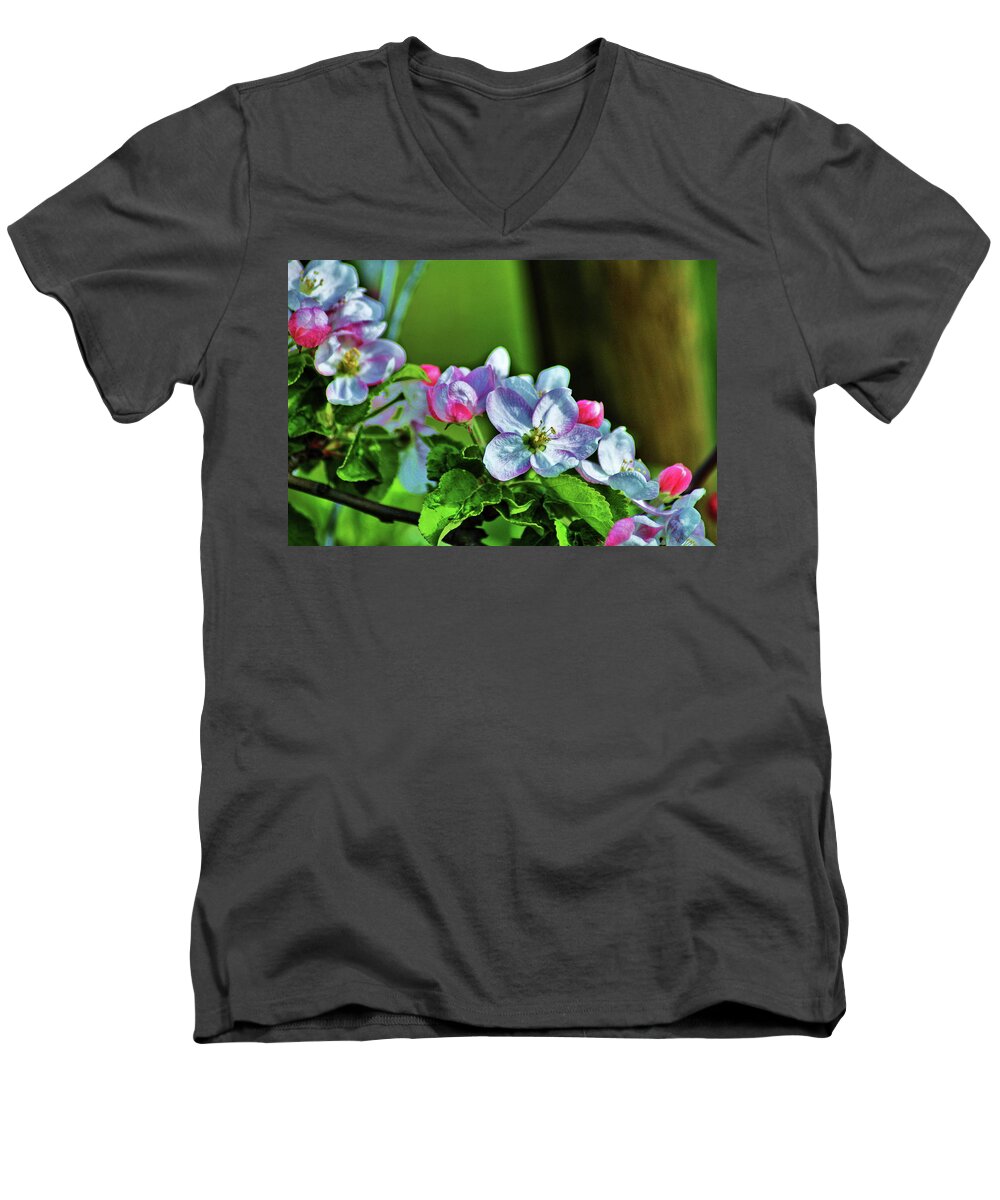 Fruit Men's V-Neck T-Shirt featuring the photograph Plum Blossoms by Daniel Koglin