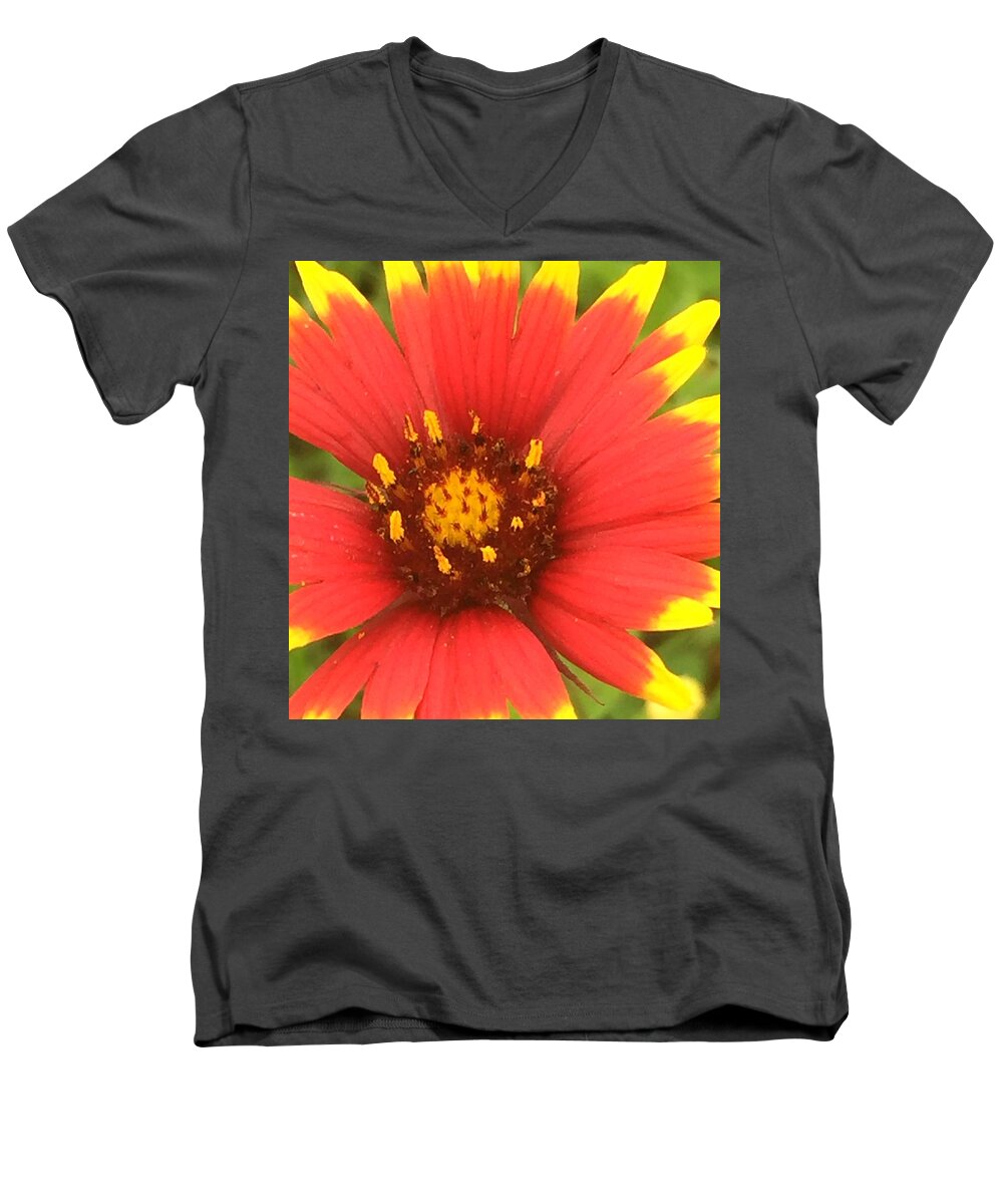 Spring Men's V-Neck T-Shirt featuring the photograph Pollinated by Etta Harris