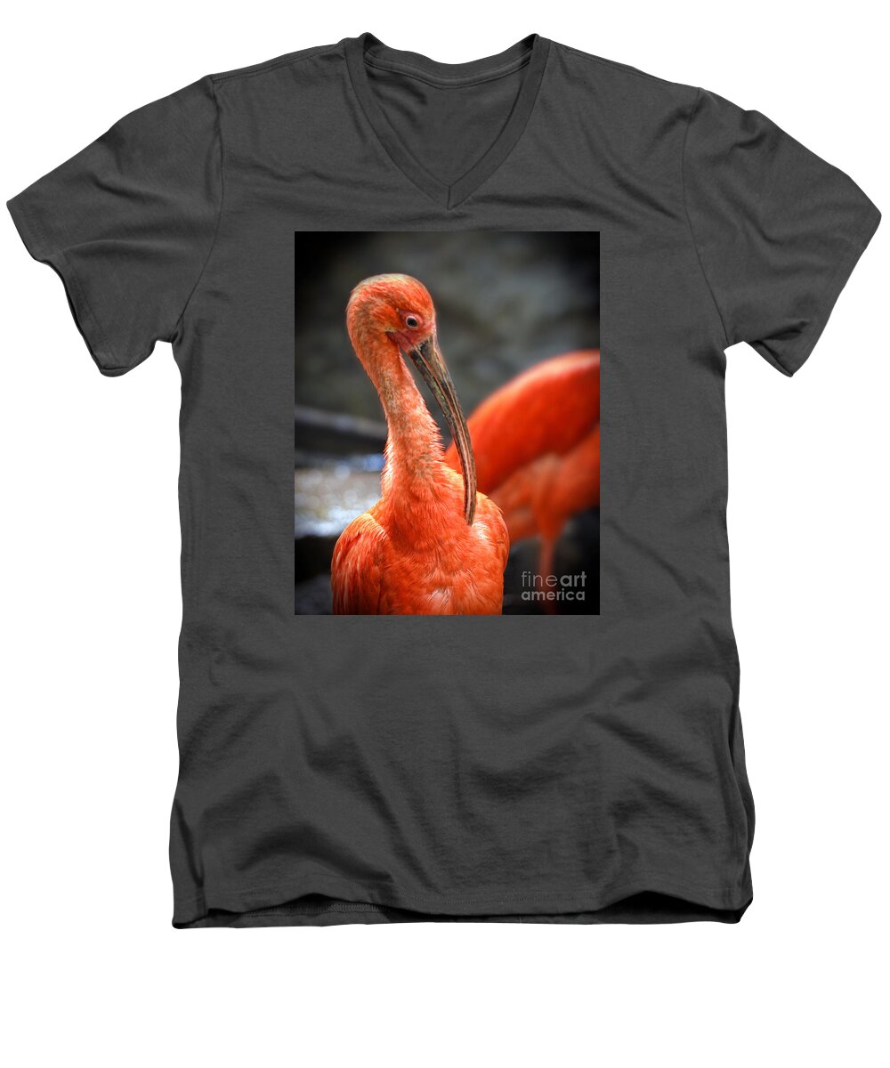 Bird Men's V-Neck T-Shirt featuring the photograph Portrait of a Scarlet Ibis Bird by Jim Fitzpatrick