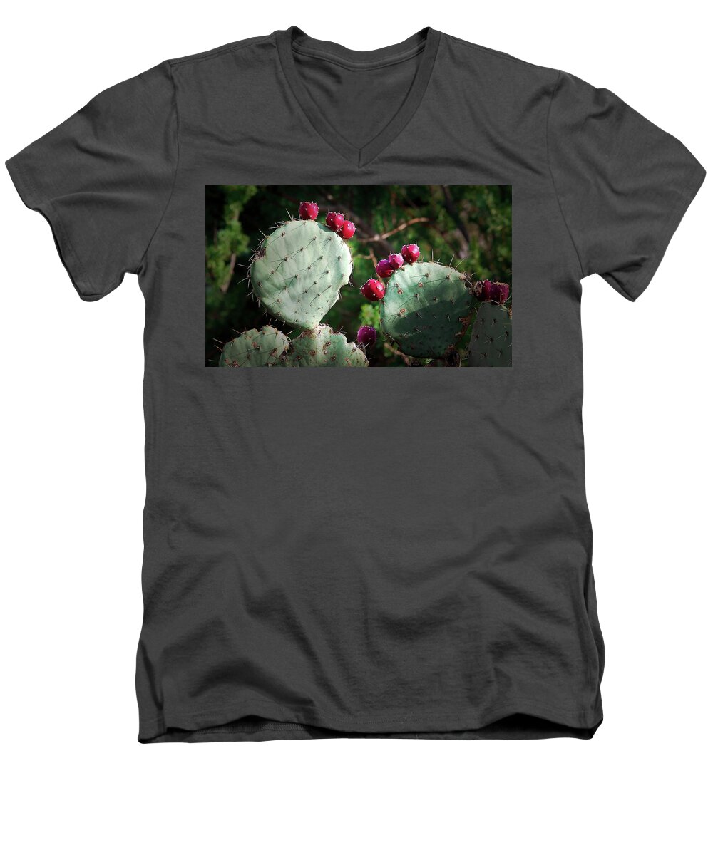 Cactus Men's V-Neck T-Shirt featuring the photograph Prickly Pear Fruits by Elaine Malott