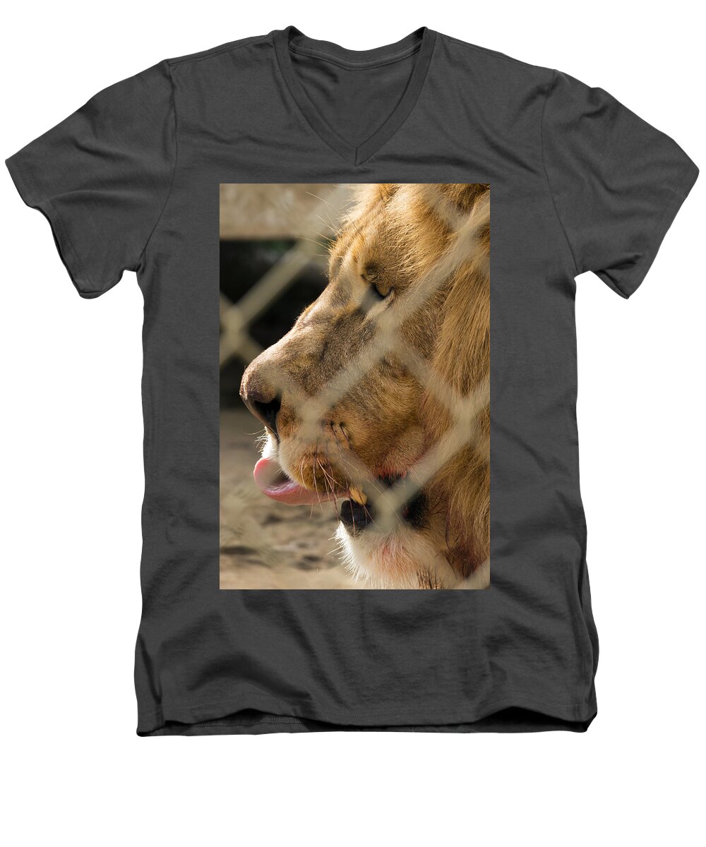 Acres Men's V-Neck T-Shirt featuring the photograph Profile of a King by Travis Rogers