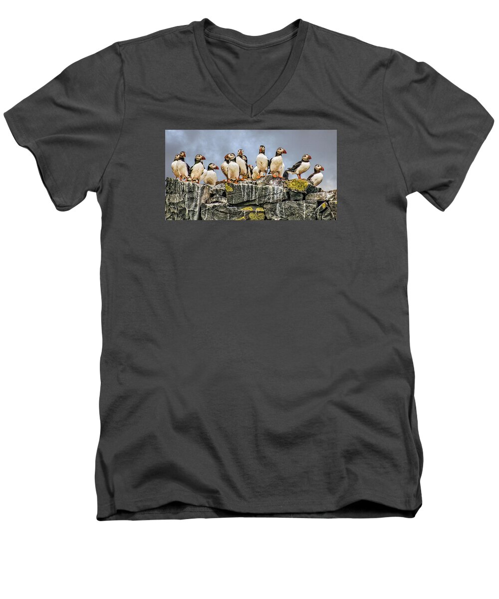 Puffin Men's V-Neck T-Shirt featuring the photograph Puffin's Rock by Brian Tarr