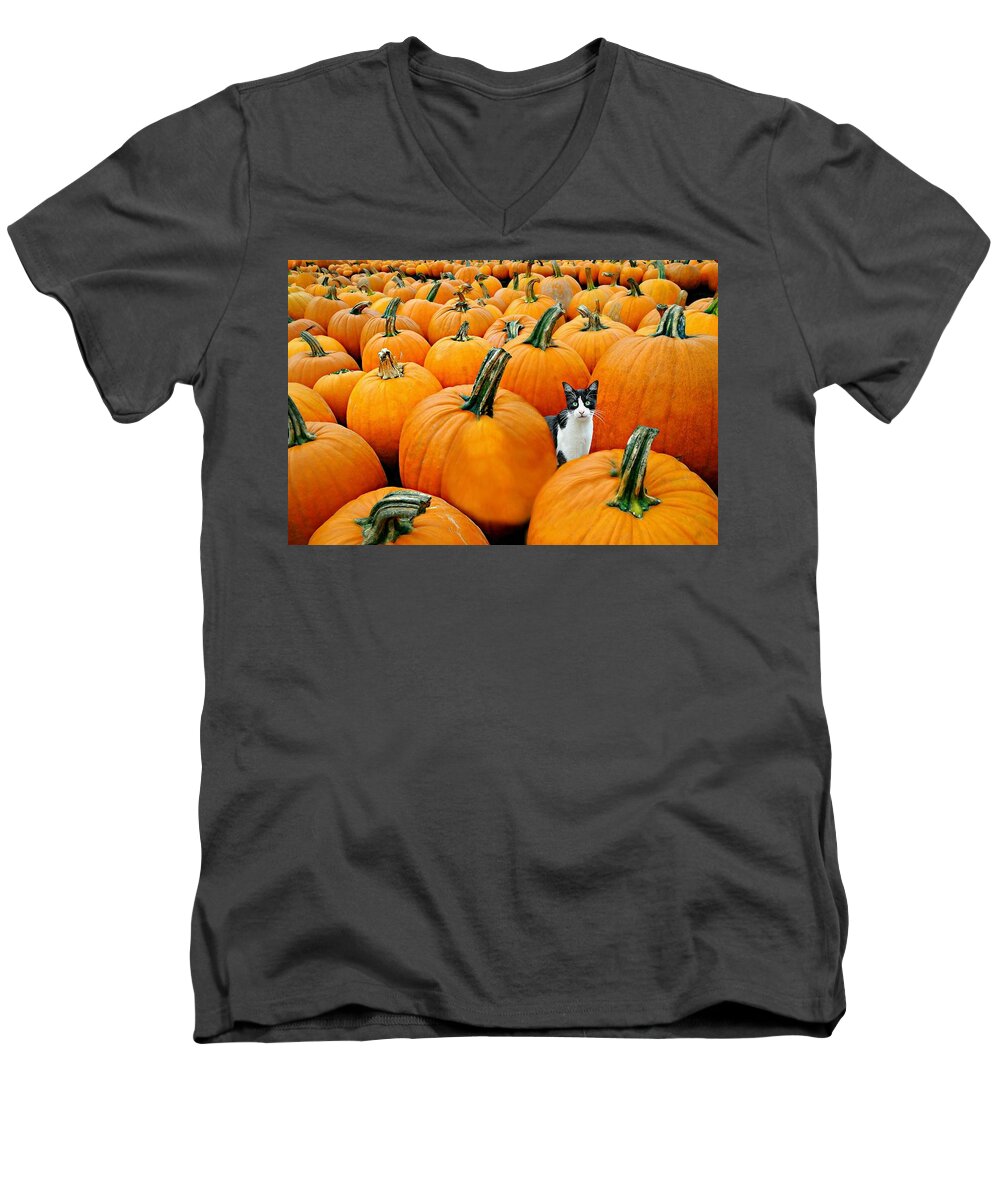 Pumpkin Patch Cat Men's V-Neck T-Shirt featuring the photograph Pumpkin Patch Cat by Diana Angstadt