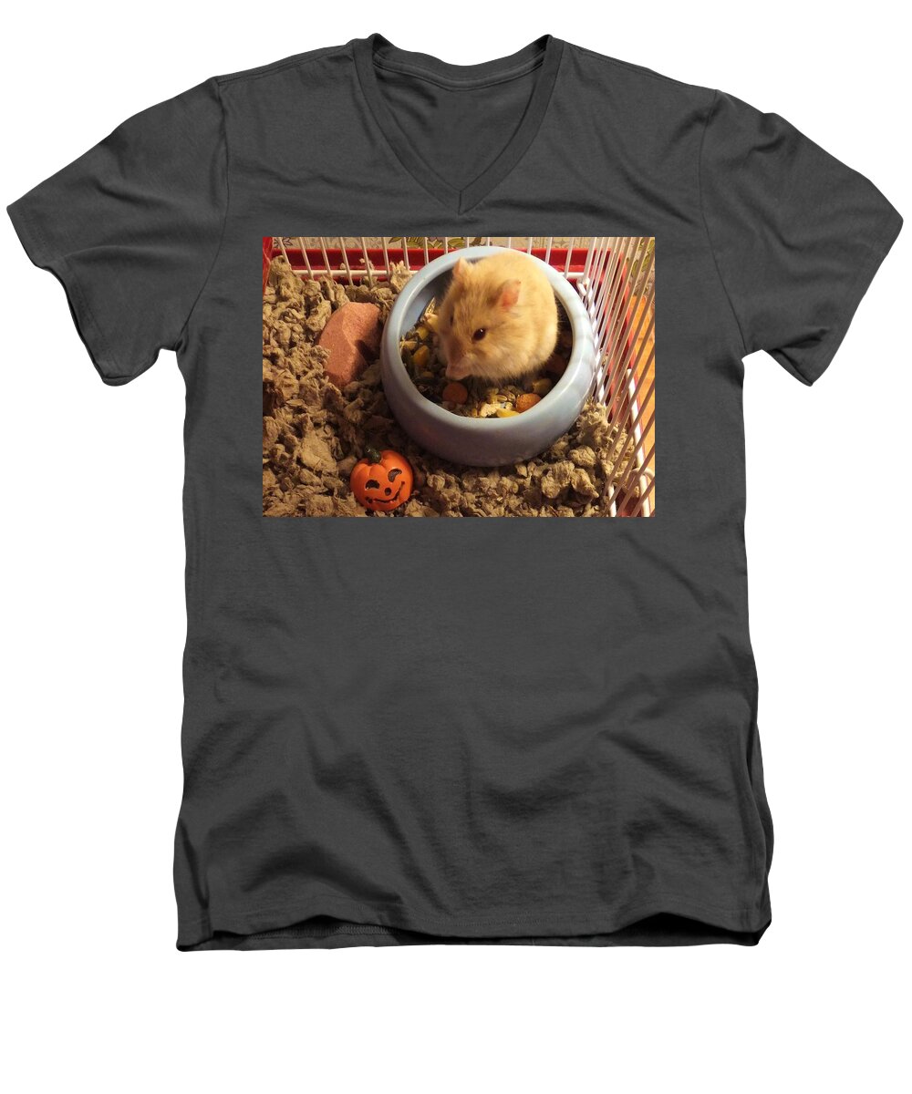 Hamster Men's V-Neck T-Shirt featuring the photograph Pumpkin With Pumpkin by Denise F Fulmer