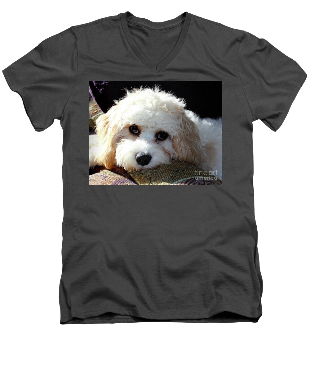 Puppy Men's V-Neck T-Shirt featuring the photograph Puppy Eyes by Karen Adams