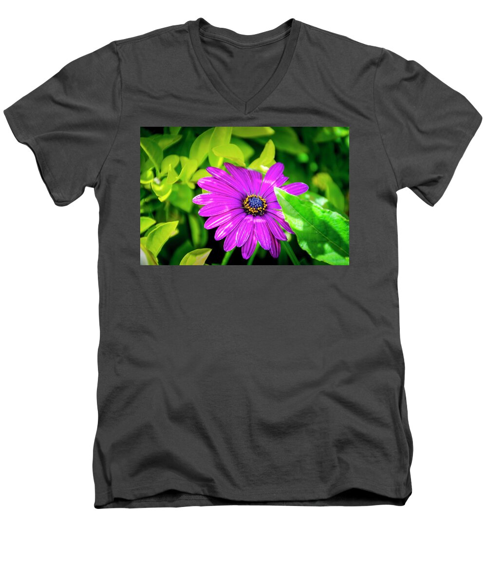 Flower Men's V-Neck T-Shirt featuring the photograph Purple Flower by Daniel Murphy