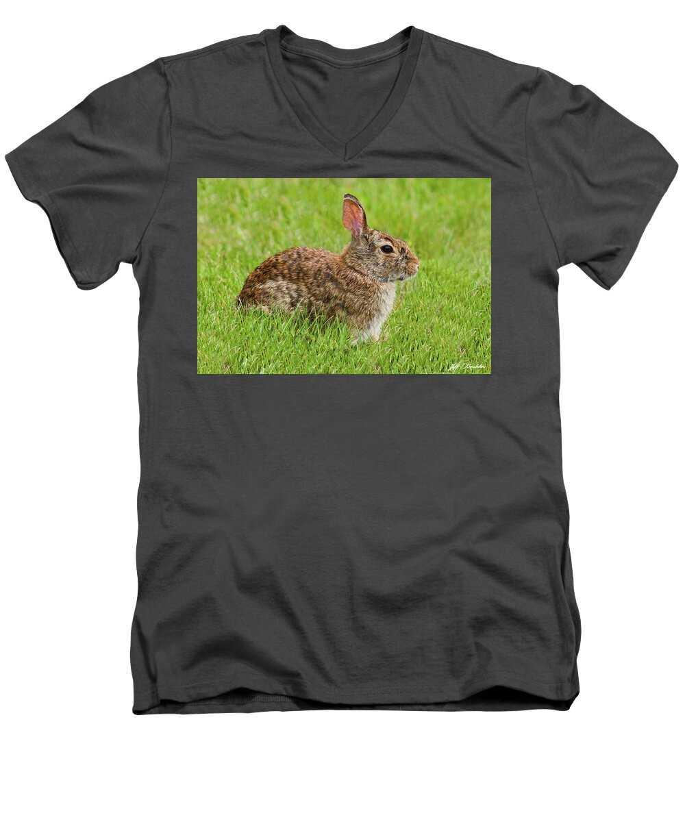 Animal Men's V-Neck T-Shirt featuring the photograph Rabbit in a Grassy Meadow by Jeff Goulden