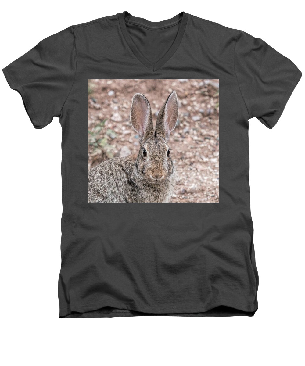 Rabbitt Men's V-Neck T-Shirt featuring the photograph RaBBIT sTARE by Dorothy Cunningham