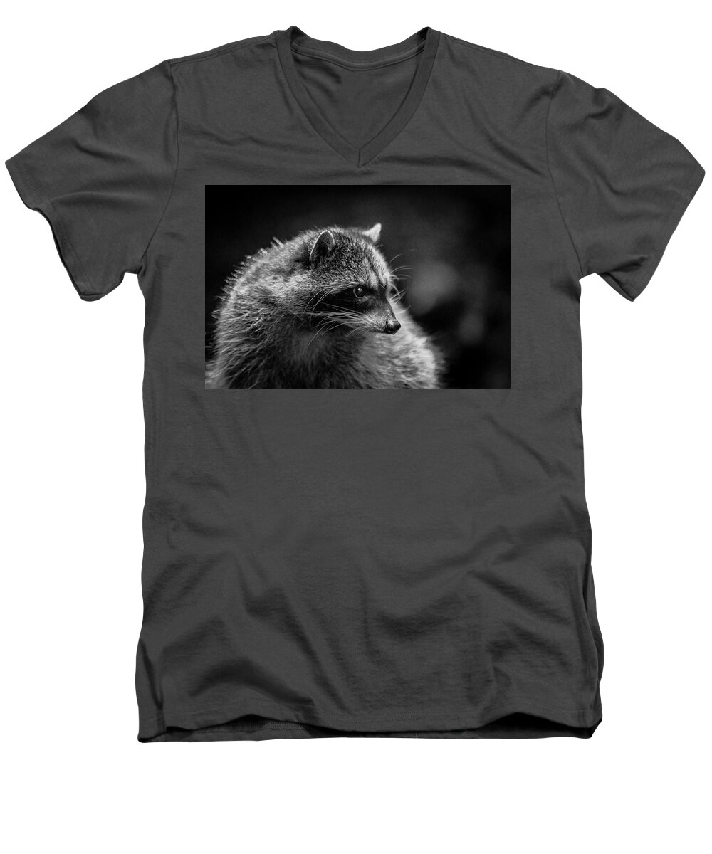 Wildlife Men's V-Neck T-Shirt featuring the photograph Raccoon 3 by Jason Brooks