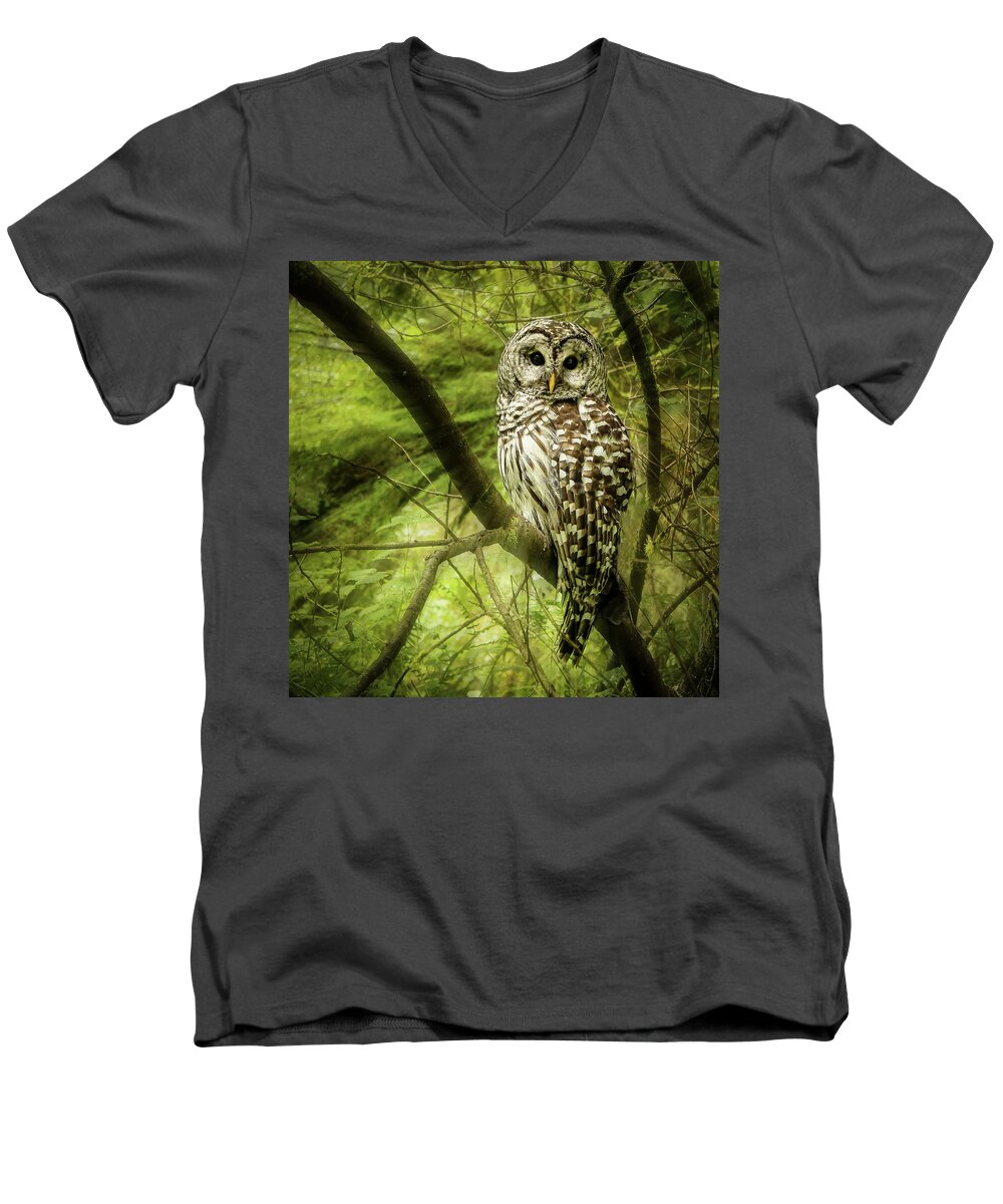 Jean Noren Men's V-Neck T-Shirt featuring the photograph Radiating Barred Owl by Jean Noren