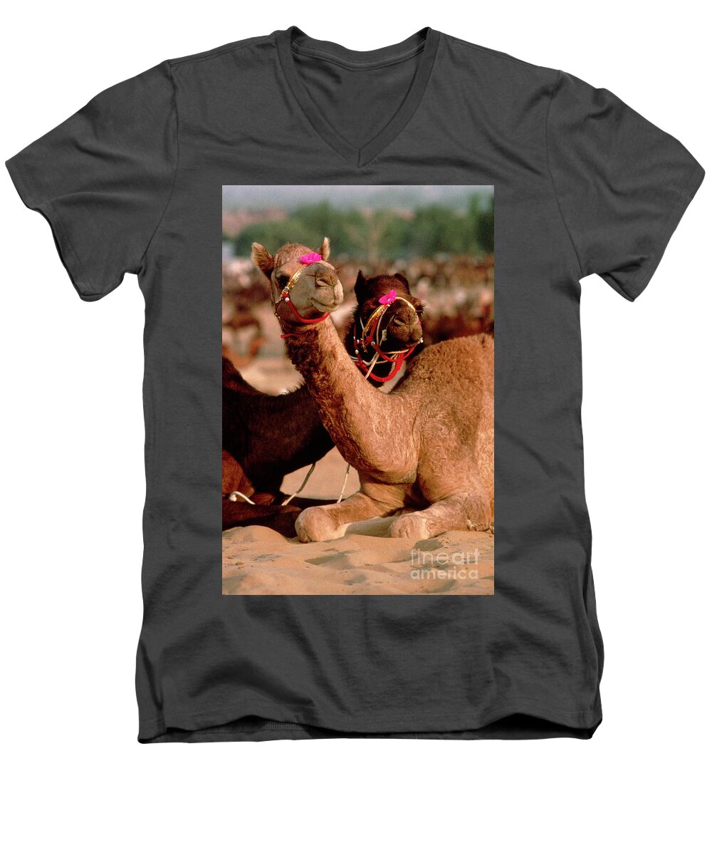 India Men's V-Neck T-Shirt featuring the photograph Rajasthan_21-19 by Craig Lovell
