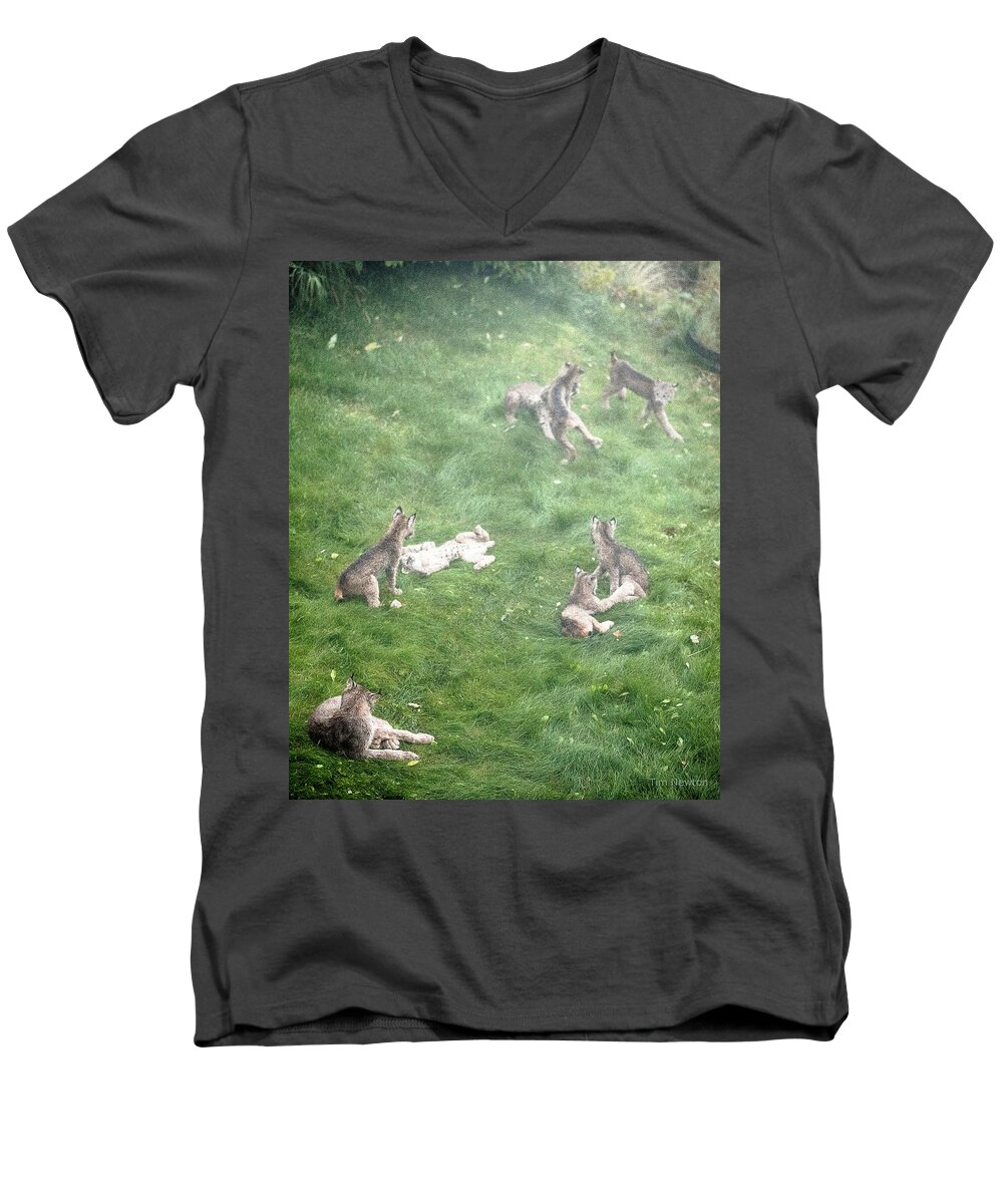 Lynx Men's V-Neck T-Shirt featuring the photograph Play Together Prey Together by Tim Newton