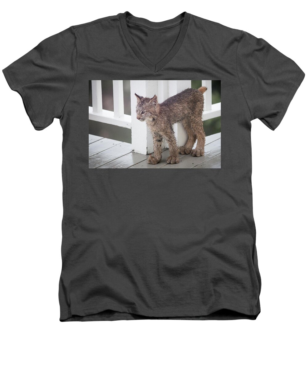 Lynx Men's V-Neck T-Shirt featuring the photograph Laser Eyes Big Feet by Tim Newton