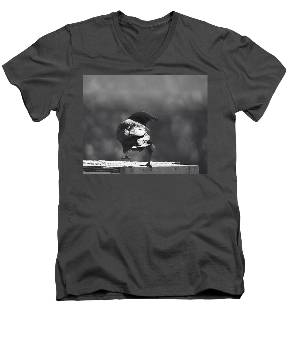 Nature Men's V-Neck T-Shirt featuring the photograph Raven in the Sun by Sue Capuano