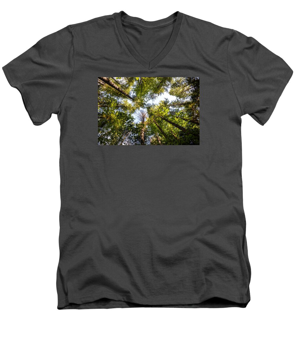 Autumn Men's V-Neck T-Shirt featuring the photograph Reaching for Sky by Ronda Broatch