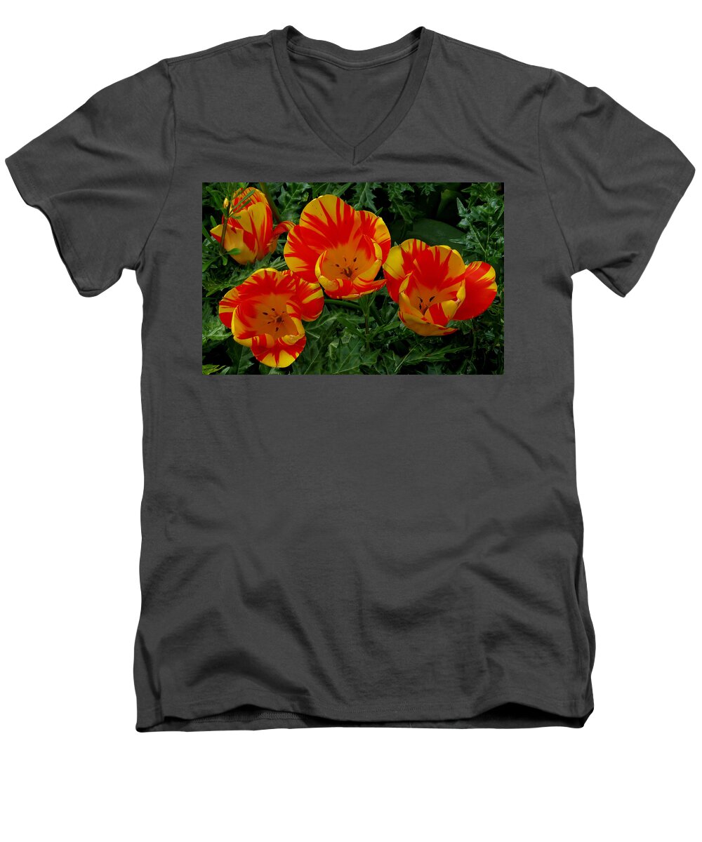 Flower Men's V-Neck T-Shirt featuring the photograph Red and Yellow Flower by John Topman