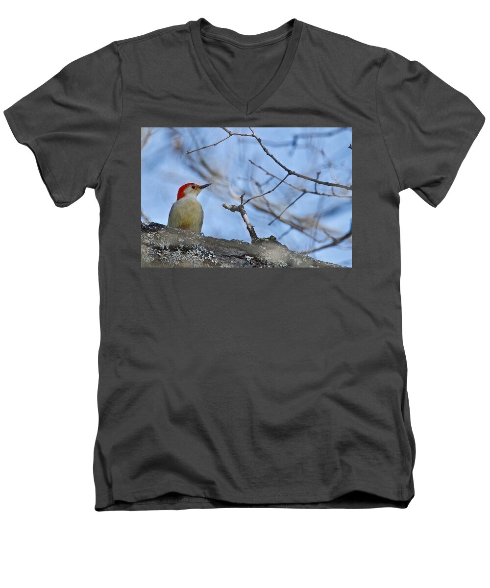 Red-bellied Woodpecker Men's V-Neck T-Shirt featuring the photograph Red-bellied Woodpecker 1137 by Michael Peychich