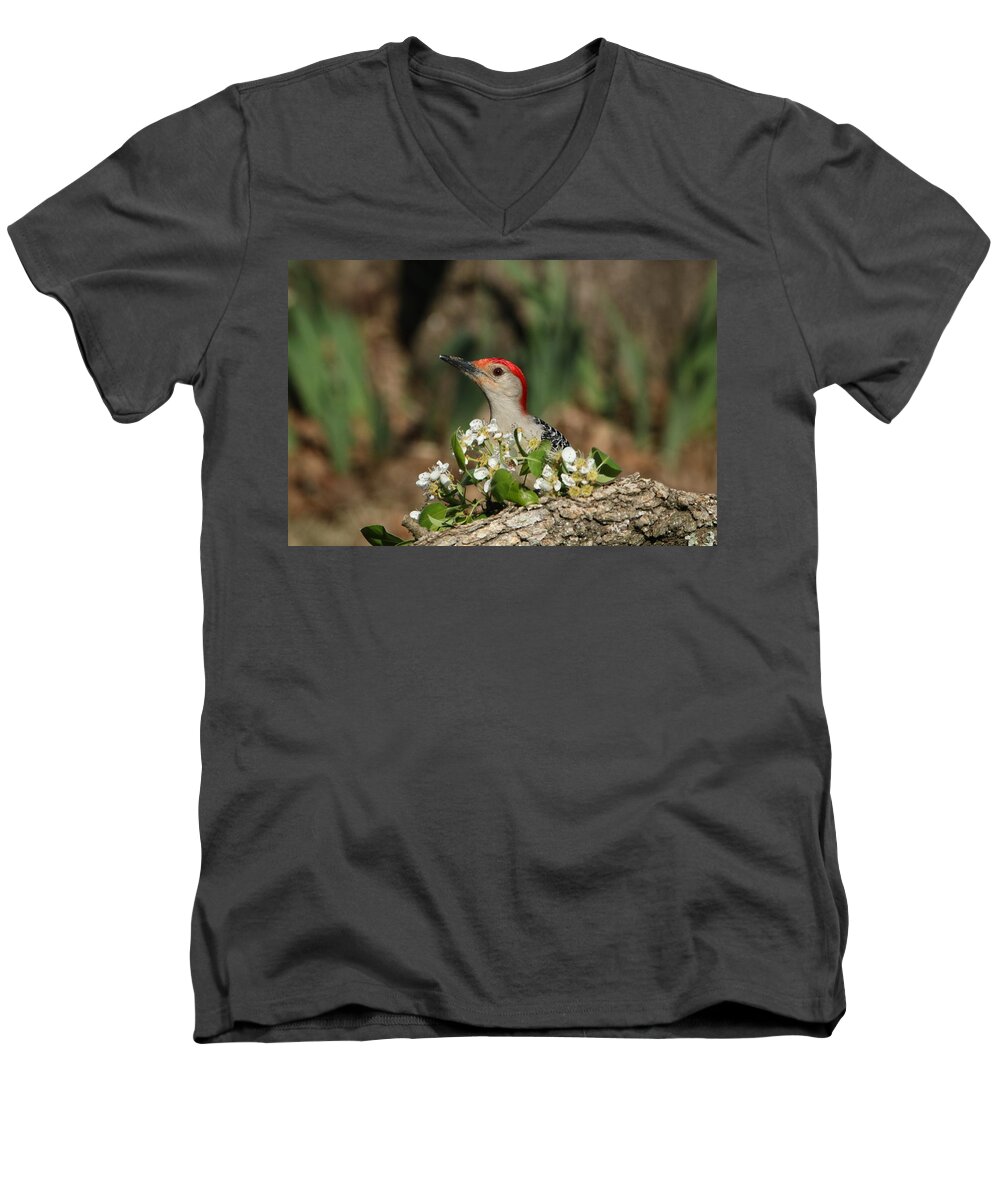 Nature Men's V-Neck T-Shirt featuring the photograph Red-bellied Woodpecker in Spring by Sheila Brown