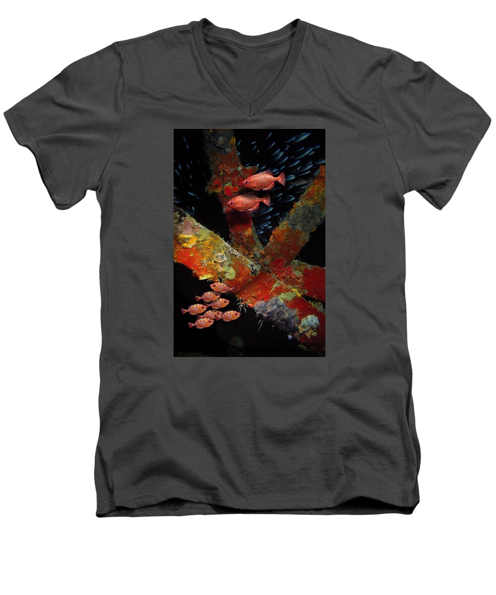 Sail Men's V-Neck T-Shirt featuring the photograph Red fish on the Rhone by Gary Felton