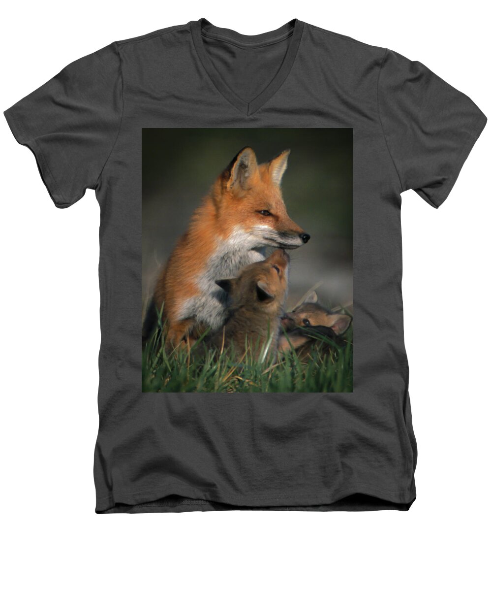 Johnson County Men's V-Neck T-Shirt featuring the photograph Red Fox Mother and Kits by Jeff Phillippi