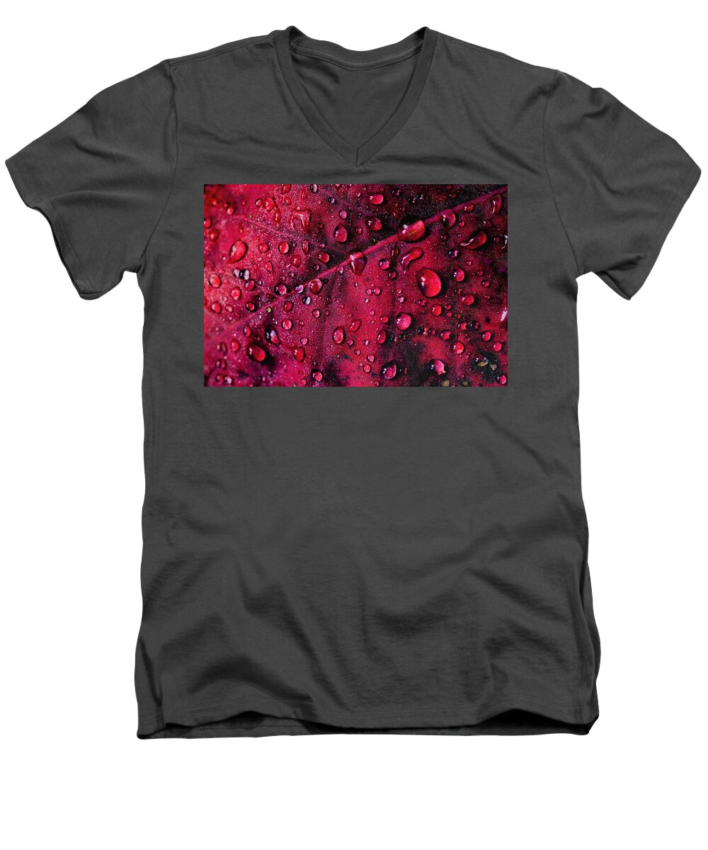 Nature Men's V-Neck T-Shirt featuring the photograph Red Morning by Gene Garnace