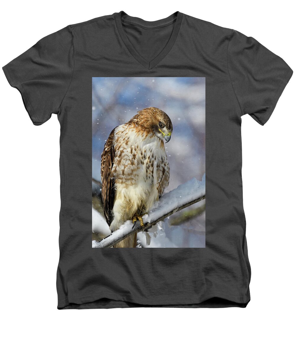 Red Tailed Hawk Men's V-Neck T-Shirt featuring the photograph Red Tailed Hawk, Glamour Pose by Michael Hubley