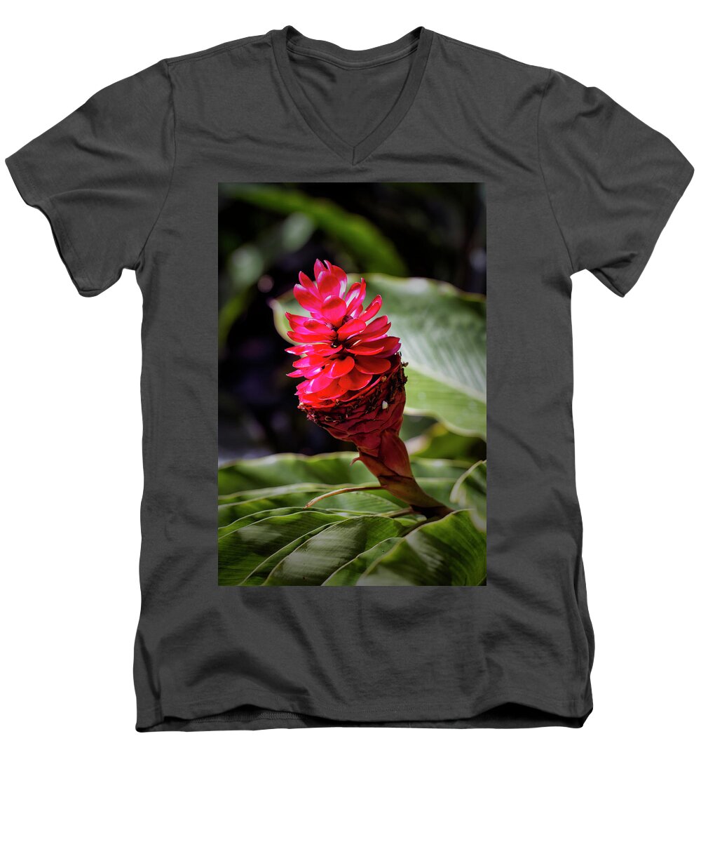 Granger Photography Men's V-Neck T-Shirt featuring the photograph Red Torch by Brad Granger