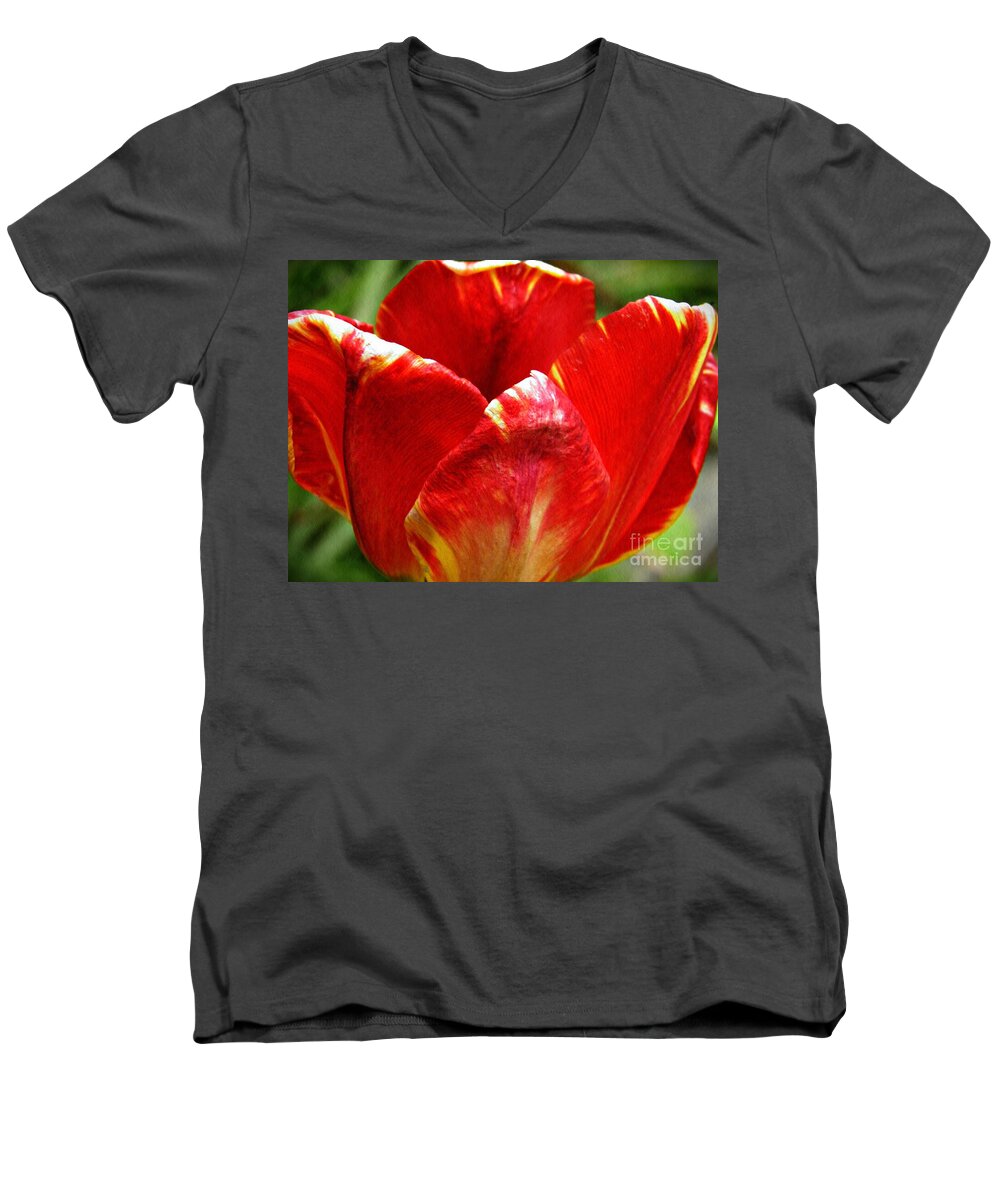 Tulip Men's V-Neck T-Shirt featuring the photograph Red Tulip by Sarah Loft