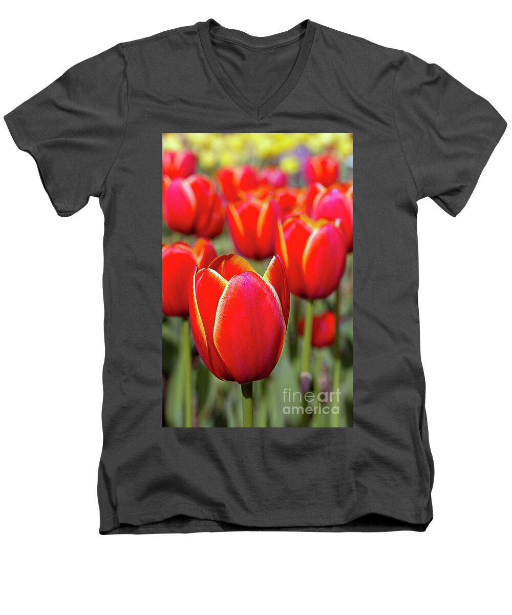 Tulips Men's V-Neck T-Shirt featuring the photograph Red and Yellow Tulips I by Karen Jorstad
