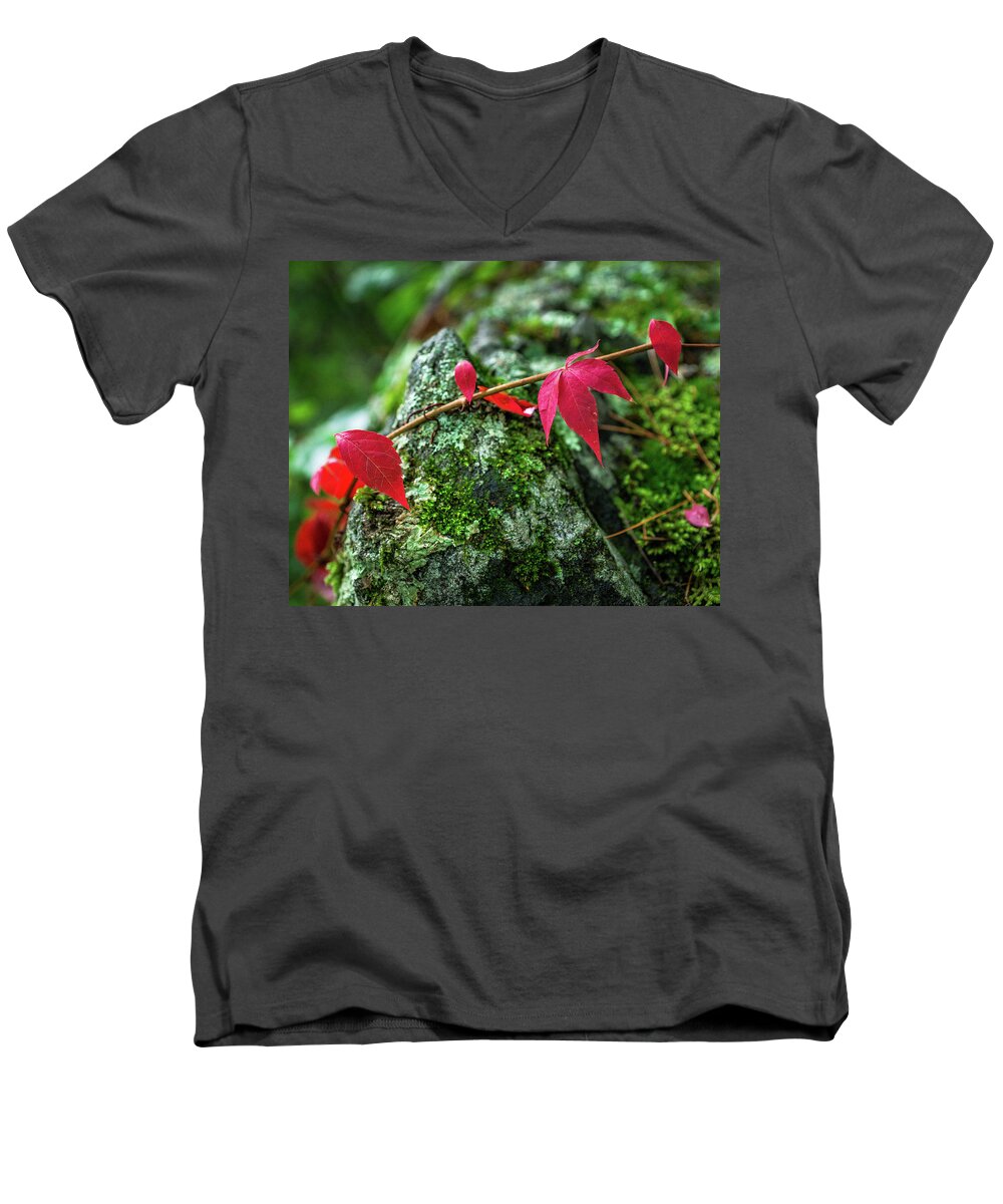 Fall Men's V-Neck T-Shirt featuring the photograph Red Vine by Bill Pevlor