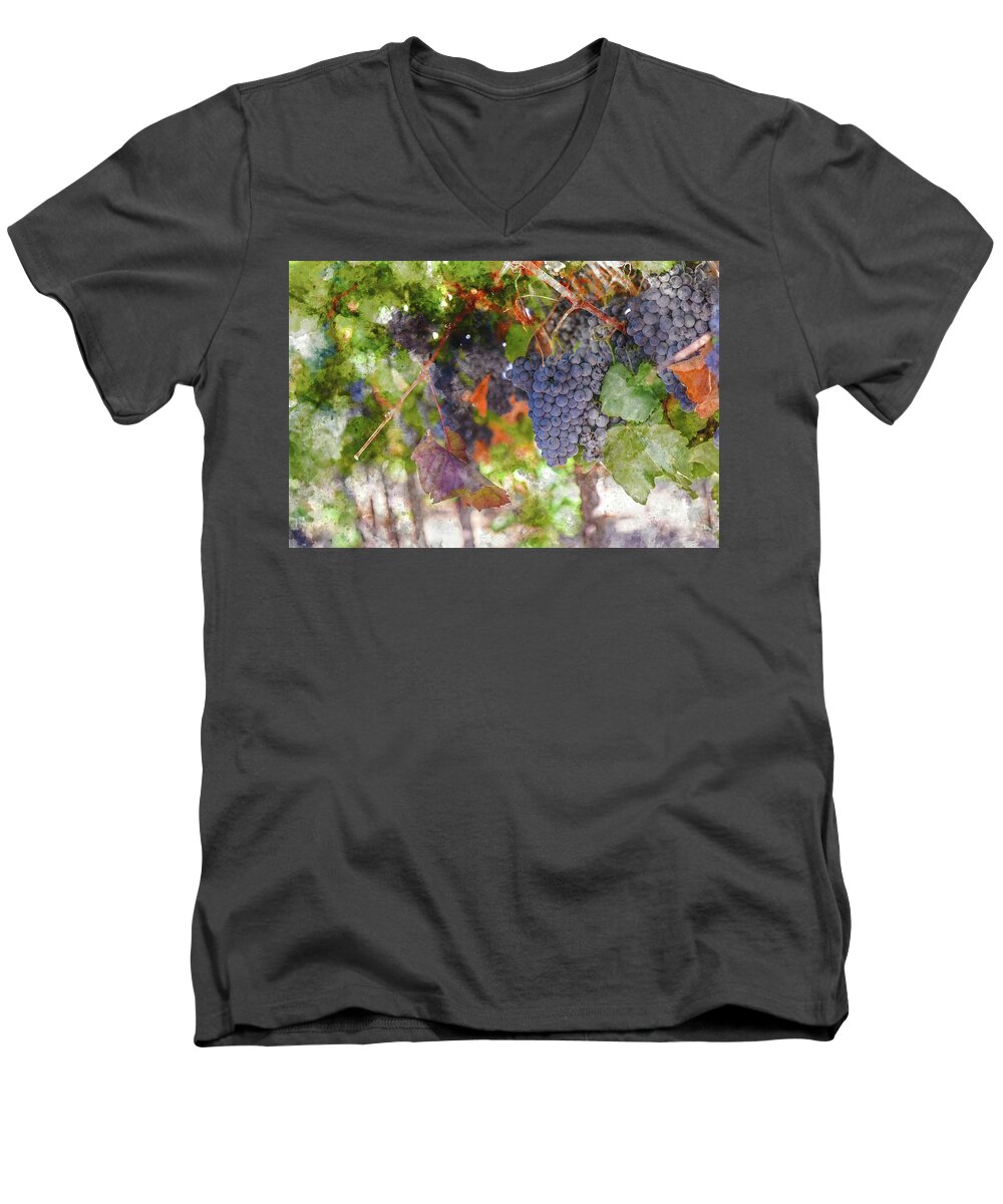 Red Wine Men's V-Neck T-Shirt featuring the photograph Red Wine Grapes on the Vine in Wine Country by Brandon Bourdages