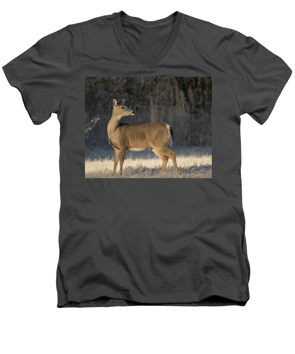 Wildlife Men's V-Neck T-Shirt featuring the photograph Reflecting On The Past by John Benedict