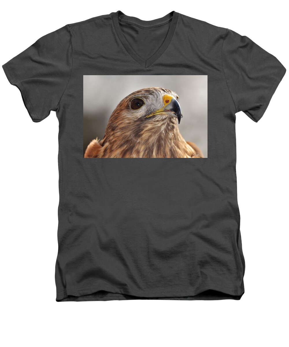 Bird Men's V-Neck T-Shirt featuring the photograph Rescued Hawk by Eileen Brymer