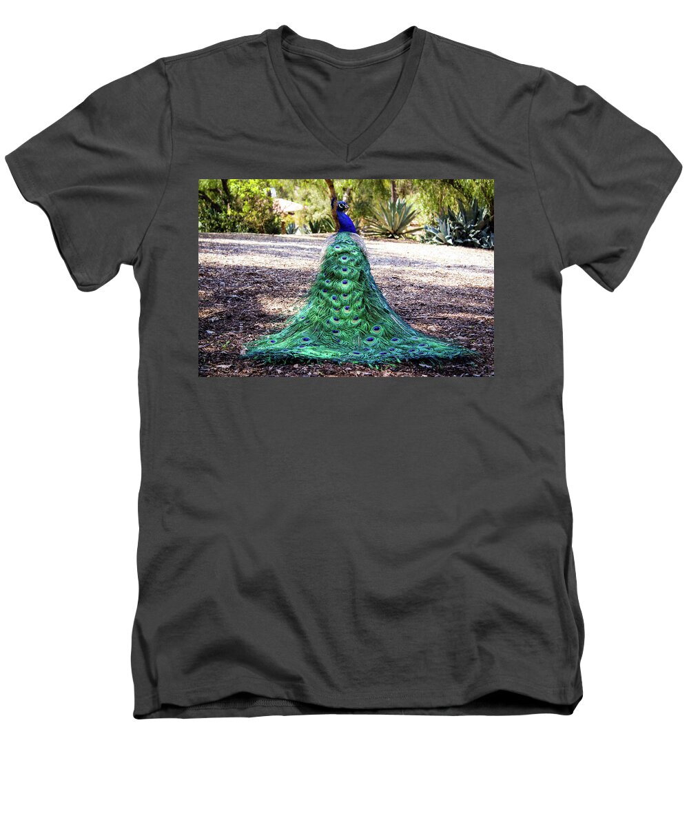 Peacock Men's V-Neck T-Shirt featuring the photograph Right Behind You by Alison Frank