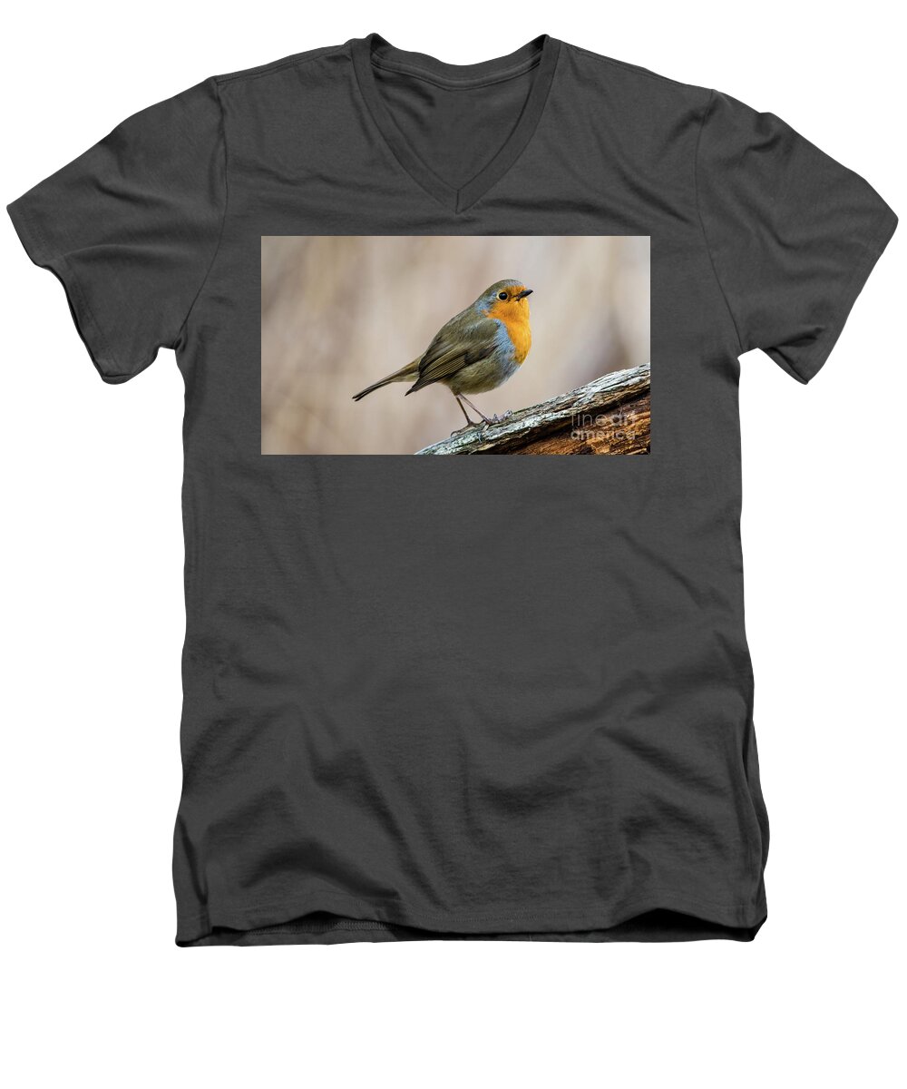 Robin In Spring Men's V-Neck T-Shirt featuring the photograph Robin in spring by Torbjorn Swenelius