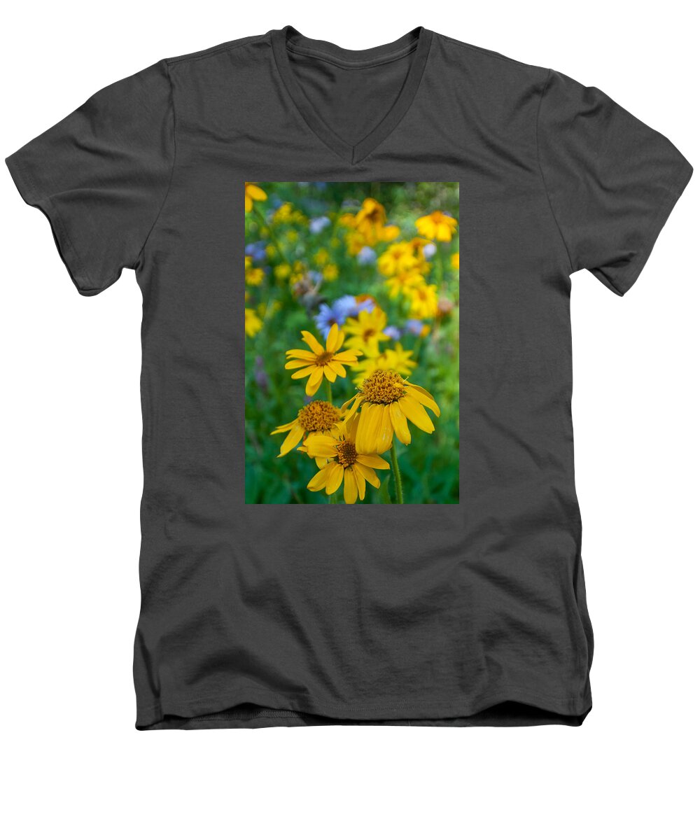 Rocky Mountain Men's V-Neck T-Shirt featuring the photograph Rocky Mountain Wildflowers by Cascade Colors