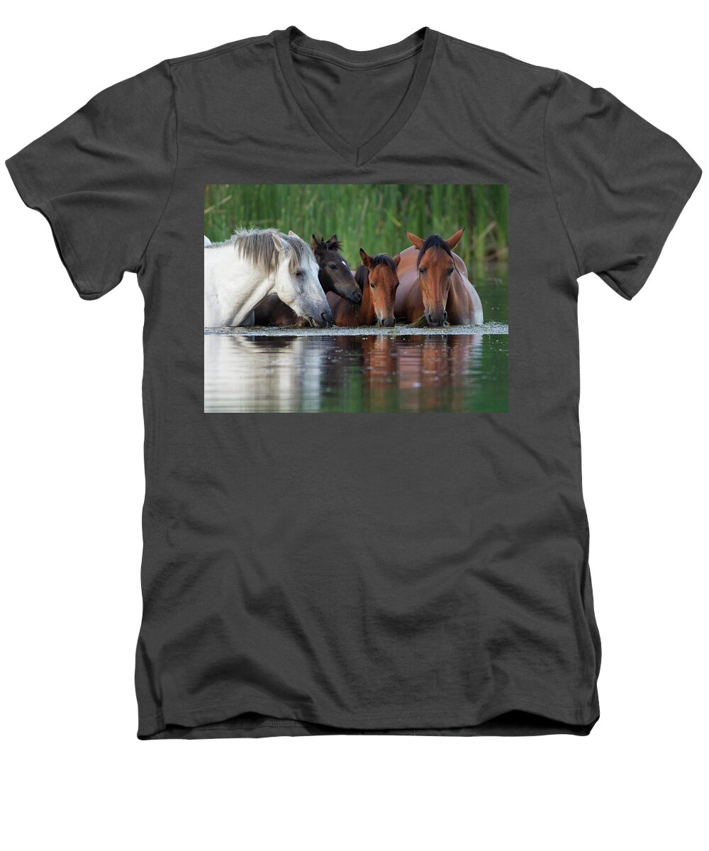 Horses Men's V-Neck T-Shirt featuring the photograph Room for All by Sue Cullumber