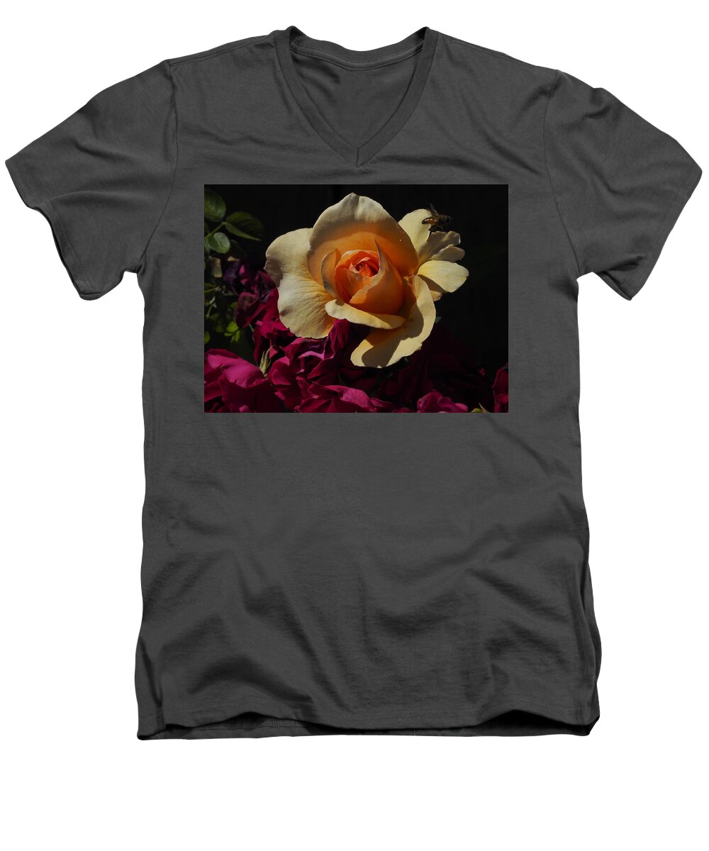 Botanical Men's V-Neck T-Shirt featuring the photograph Rose Gold, Red and Busy Bee by Richard Thomas