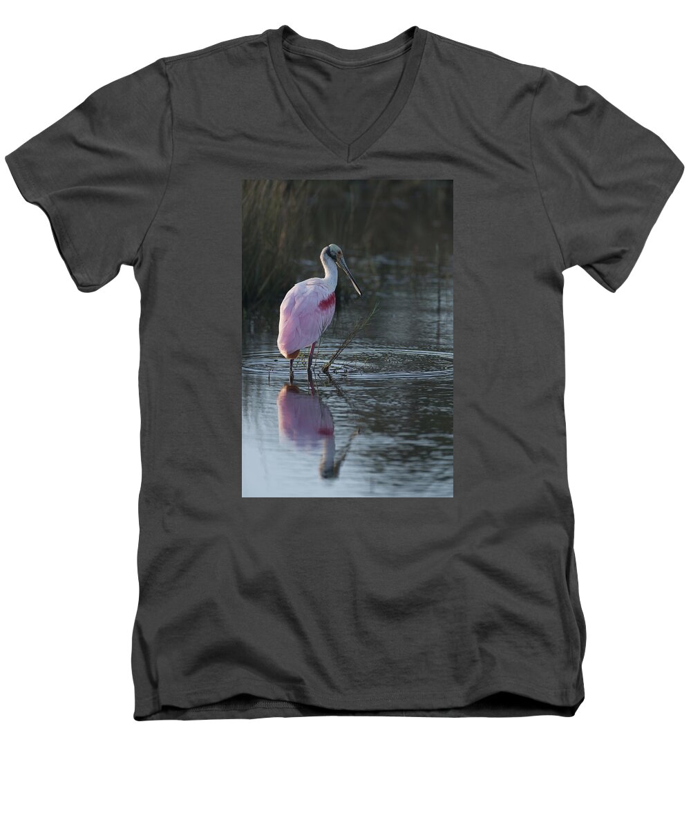 Roseate Men's V-Neck T-Shirt featuring the photograph Roseate Spoonbill by David Watkins