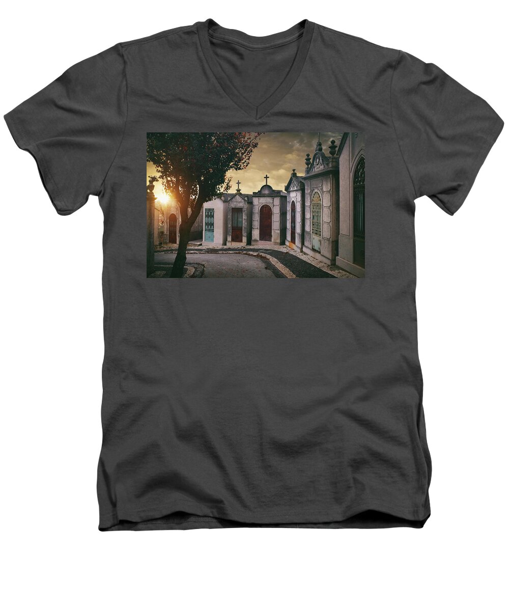 Family Men's V-Neck T-Shirt featuring the photograph Row of Crypts by Carlos Caetano