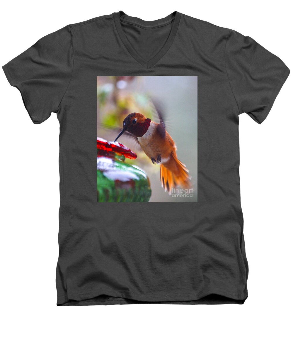 Rufus Men's V-Neck T-Shirt featuring the photograph Rufus Hummingbird at the Feeder by Chuck Flewelling